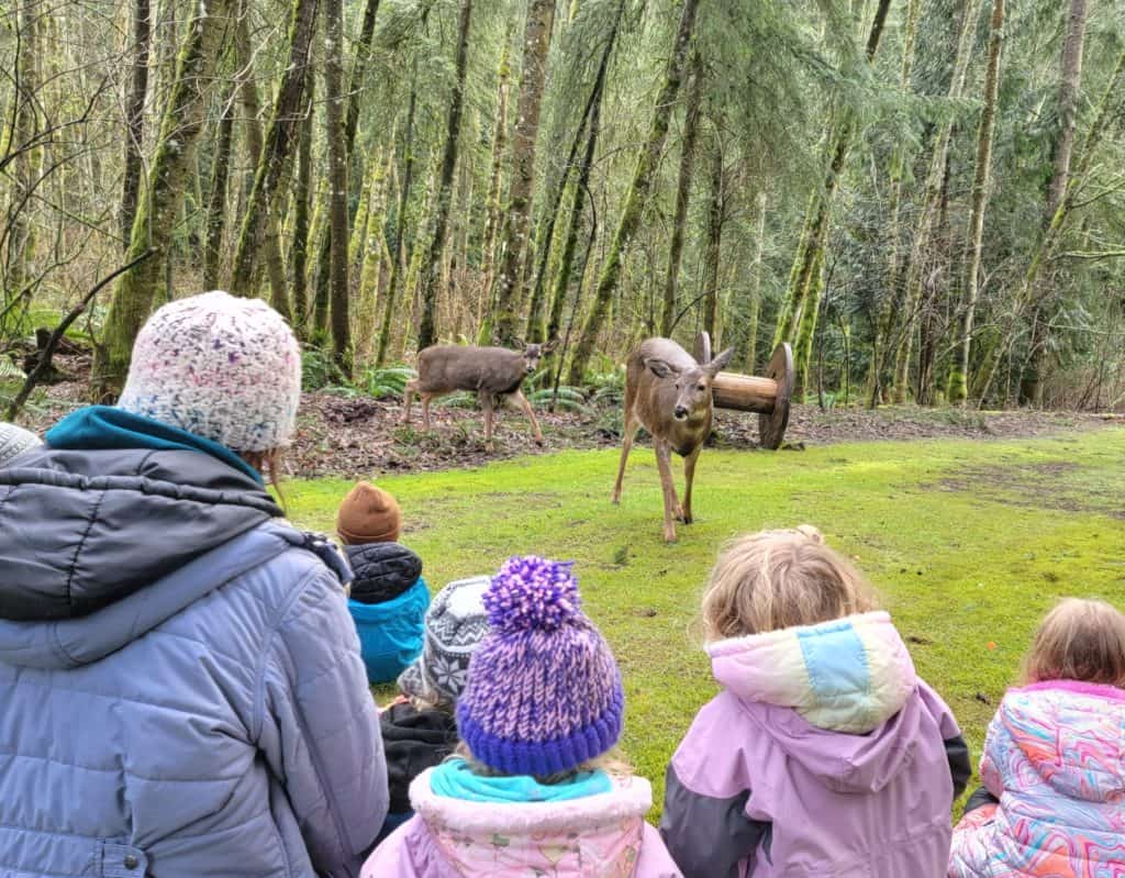 imagine that learning center 8
