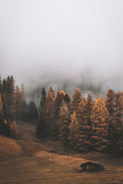 nature 02
